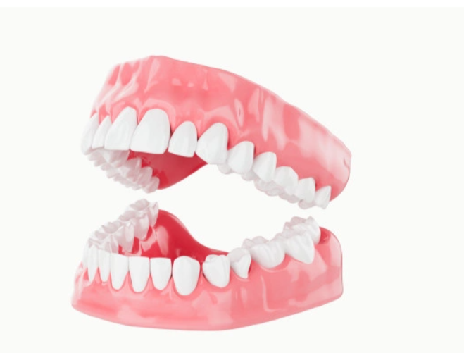 Complete And Partial Dentures | Garg Dental Clinic Sonipat | Dental Clinic in Sonipat
